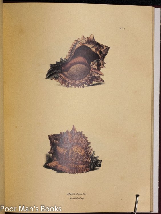 EXOTIC CONCHOLOGY OR DRAWINGS AND DESCRIPTIONS OF RARE, BEAUTIFUL OR UNDESCRIBED SHELLS [FACSIMILE PRINTING 1968]