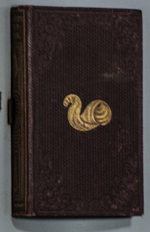THE CONCHOLOGIST'S TEXT-BOOK. EMBRACING THE ARRANGEMENTS OF LAMARCK AND LINNAEUS, WITH A GLOSSARY OF TECHNICAL TERMS. TO WHICH IS ADDED IS ADDED A BRIEF ACCOUNT OF THE MOLLUSCA