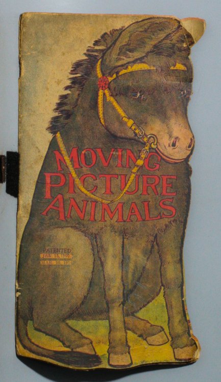 MOVING PICTURE ANIMALS