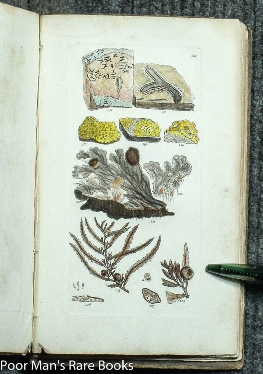 A GRAMMAR OF BOTANY, ILLUSTRATIVE OF ARTIFICIAL AS WELL AS NATURAL CLASSIFICATIONS, WITHAN EXPLANATION OF JUSSIEU'S SYSTEM