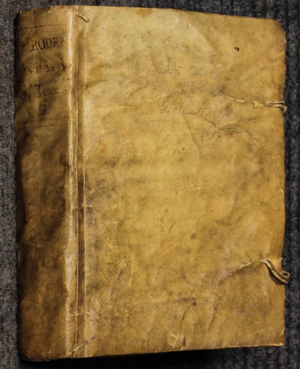 Avisos Espirituales, Que Dio A Sus Hijas La Serafica Doctora S Teresa De Jesus, Y Explica En Platicas [tome 2 Only Of 4]