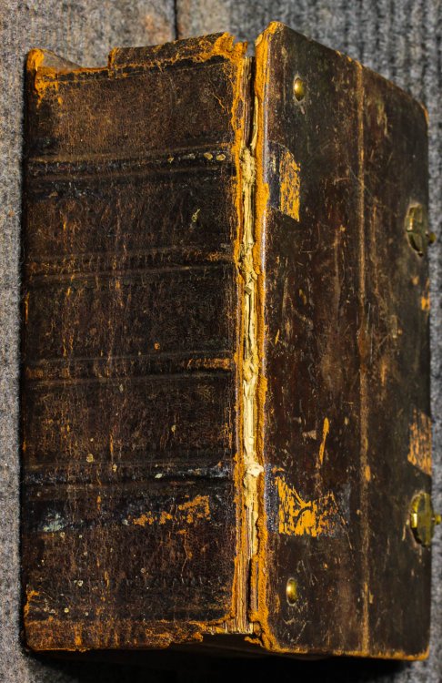 Biblia, Det Ar: All Den Helga Skrift Gamla Och Nya Testamentet. Med Stora Kyrko-bibelen. [swedish 1840]
