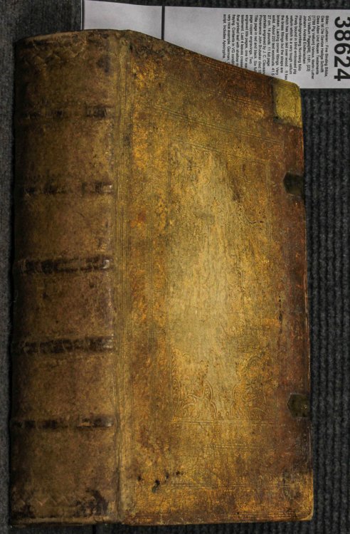 Biblia, Das Ist Die Gantze Heilige Schrifft Dess Alten Und Neuen Testaments [1788 Pig Vellum Lbc