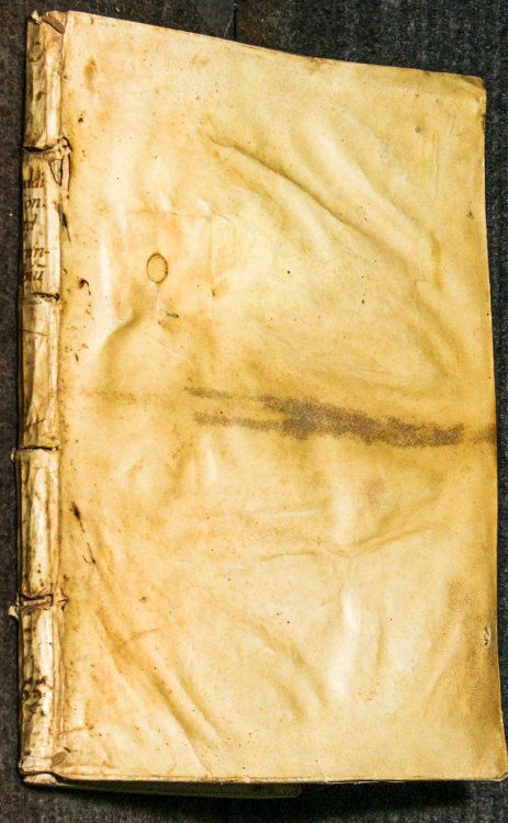 38857 Ad Decisiones Sacri Regij Consilij Neapolitani Vincentij De Franchis .1625