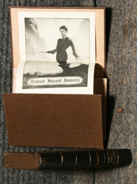 Diary Of A Man Of Fifty And A Bundle Of Letters. 1880