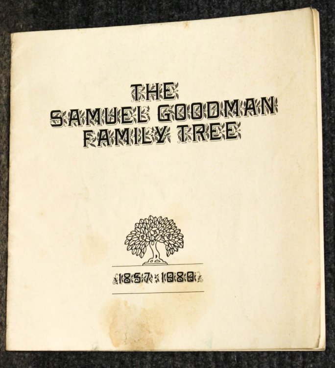 The Samuel Goodman Family Tree 1857-1889