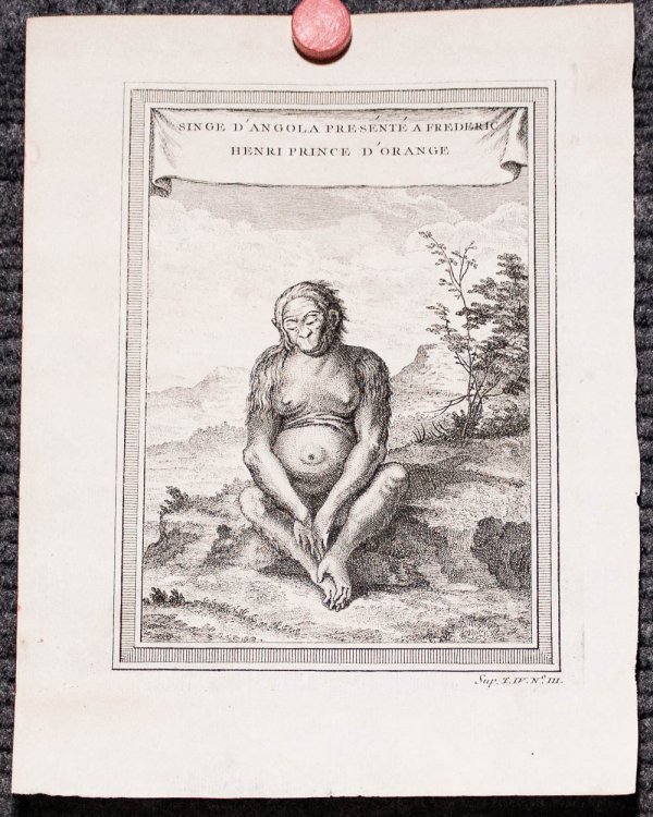 Two Bellin 1746 two Prints From Histoire Generale Des Voyages, To Include Chimpaneze [sic], And Henri Prince D'orange, 8
