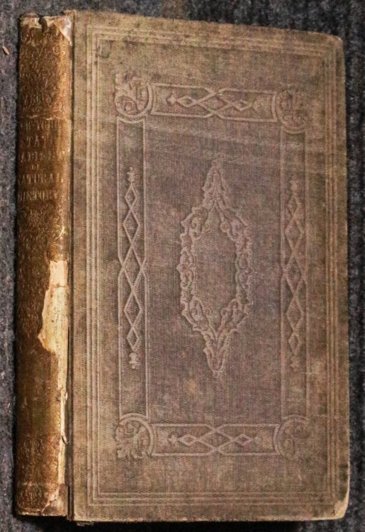 Third Annual Report Of The Regents Of The University, On The Condition Of The State Cabinet Of Natural History, Revised 1850