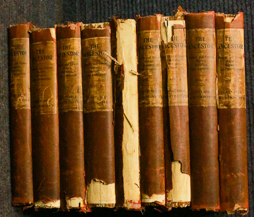 Quarterly Review Of 'the Ancestor' Bound Into 10 Cloth Volumes