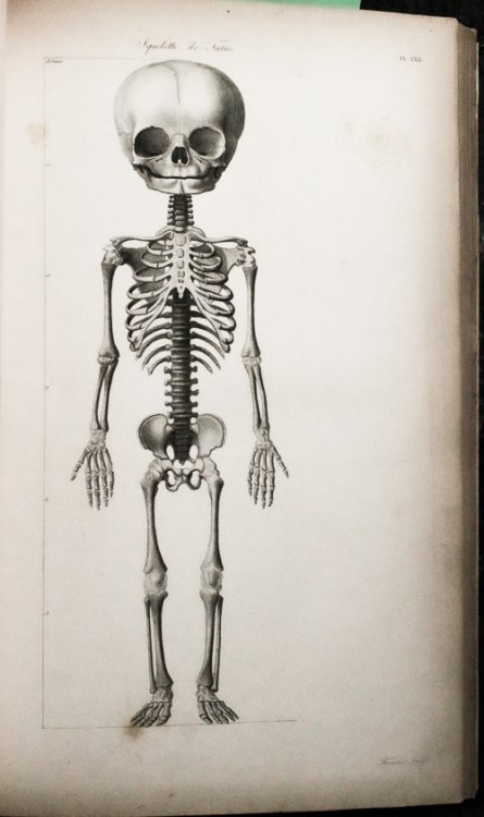 Nouvelles Demonstrations D'accoucemens. Obstetrics, 1820, #40080 78 Anatomical Plates