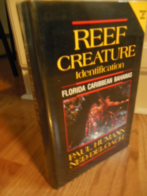 Reef Creature Identification: Florida, Caribbean, Bahamas