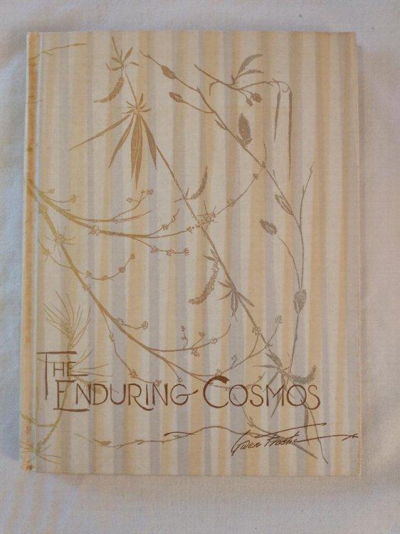 THE ENDURING COSMOS