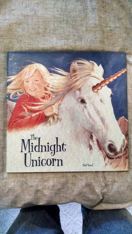THE MID NIGHT UNICORN