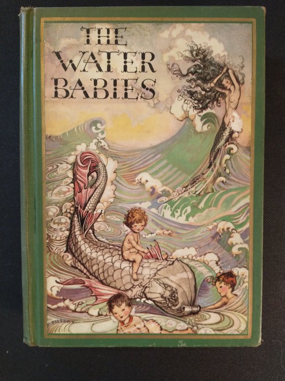 THE WATER BABIES