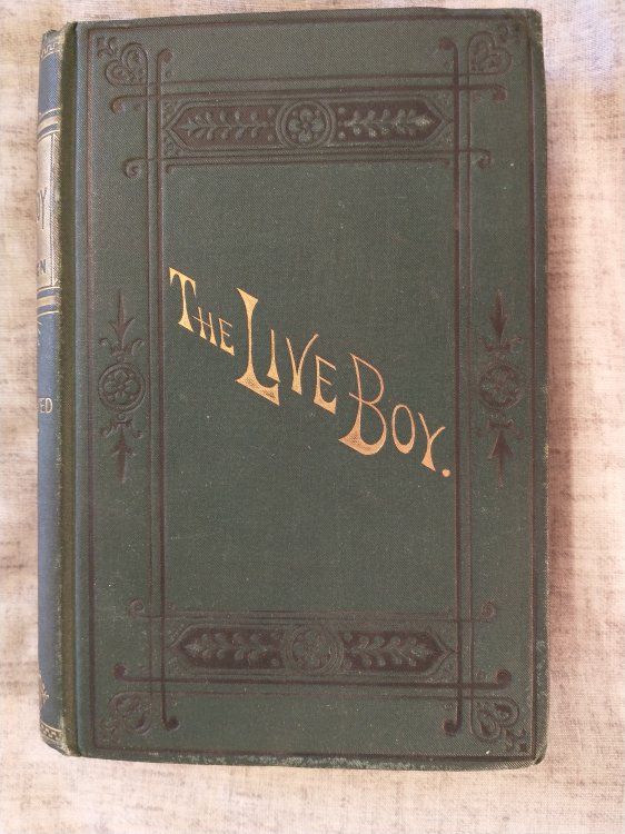 THE LIVE BOY OR CHARLEY'S LETTERS