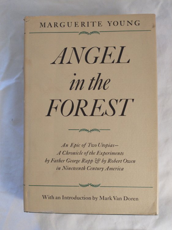 ANGEL IN THE FOREST