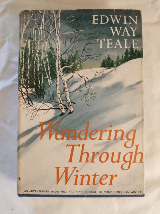WANDERING THROUGH WINTER