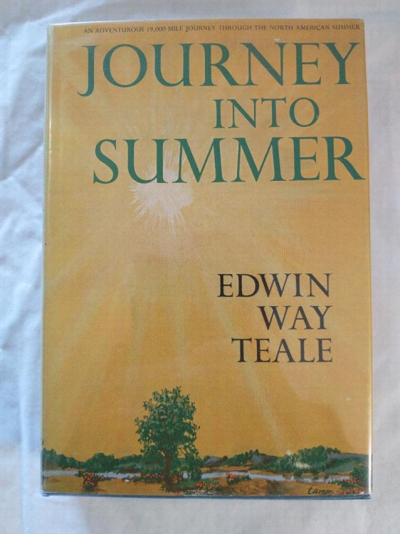 journey into summer