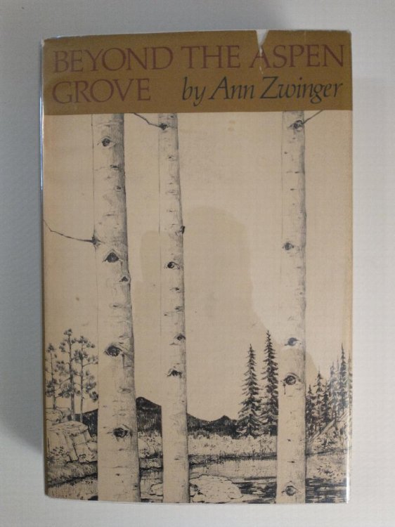 BEYOND THE ASPEN GROVE