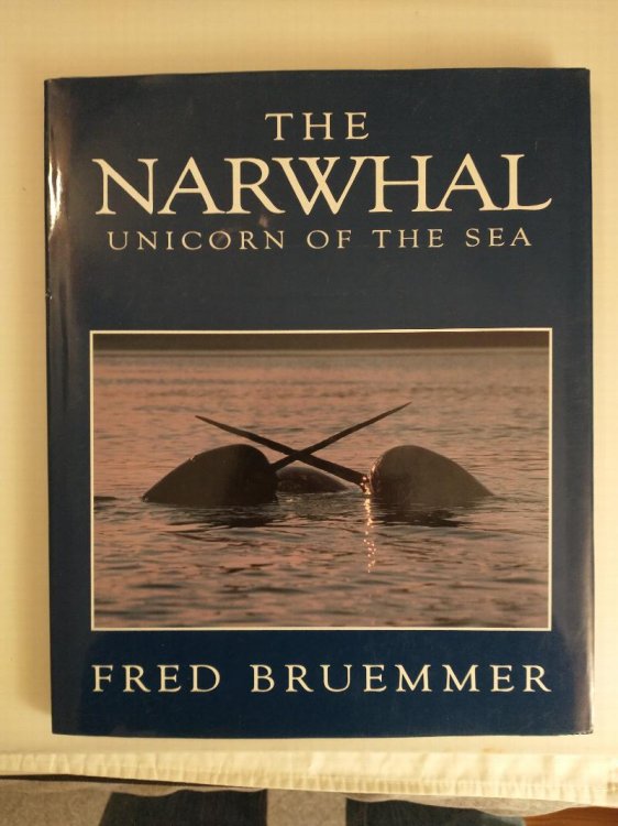 THE NARWHAL