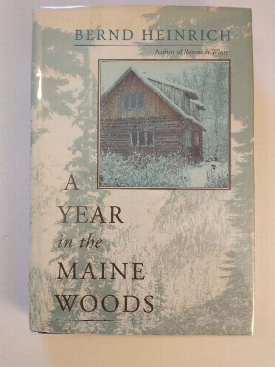A YEAR IN THE MAINE WOODS