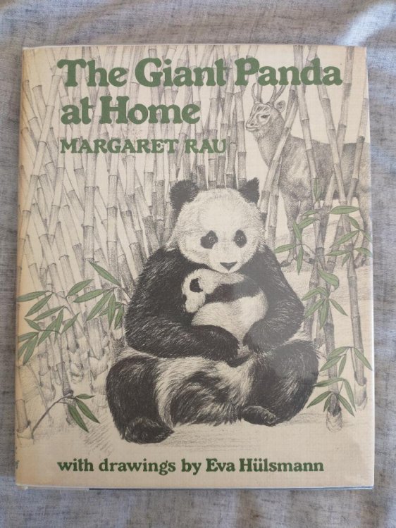 THE GIANT PANDA AT HOME