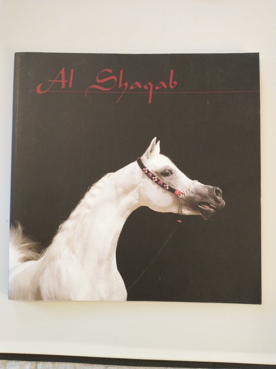 AL SHAQAB