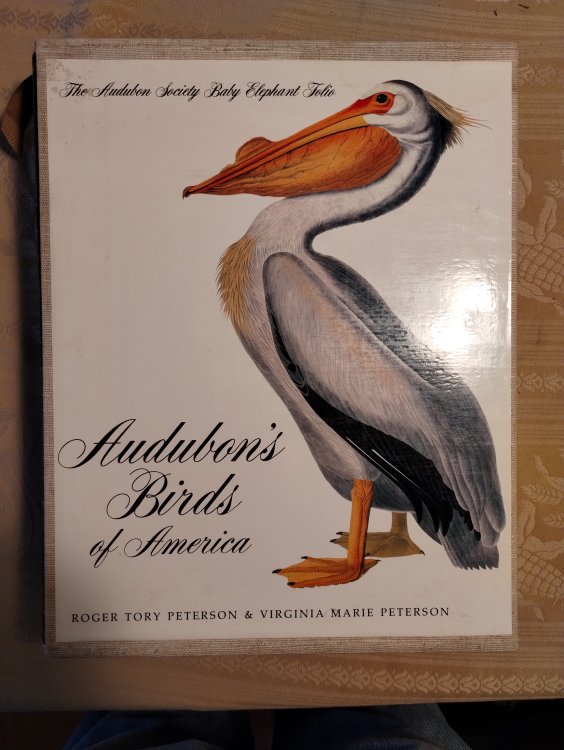 AUDUBON'S BIRDS OF AMERICA THE AUDUBON SOCIETY BABY ELEPHANT FOLIO