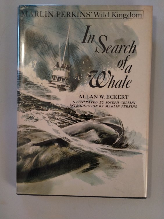 IN SEARCH OF A WHALE