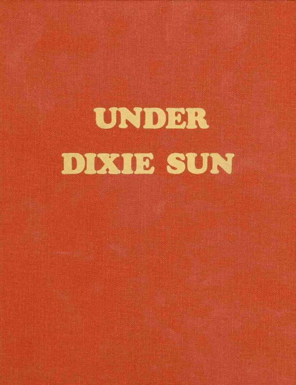 UNDER DIXIE SUN - A History of Washington County [Utah]