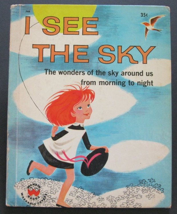 I SEE THE SKY