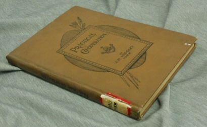PRACTICAL CO-OPERATION - A series of essays looking to the amelioration of the workingman's industrial and social condition