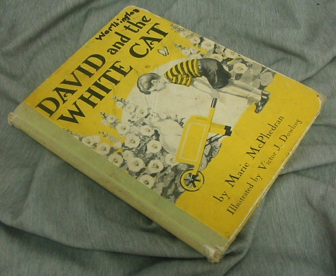 DAVID AND THE WHITE CAT