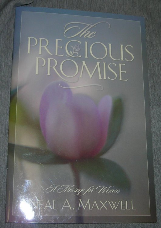 THE PRECIOUS PROMISE - A message for women