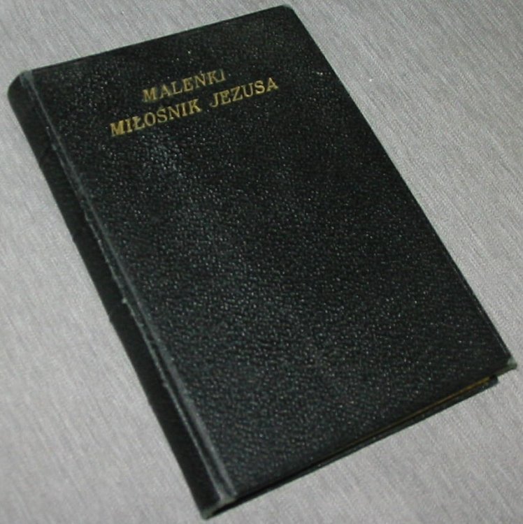 Malenki Milosnik Jezusa - (Polish - a Tiny Fan of Jesus) - Promienne Zycie Swietego Chlopca Opowiedziala Wiernie - (The Radiant Force of the Holy Boy Told Faithfully)