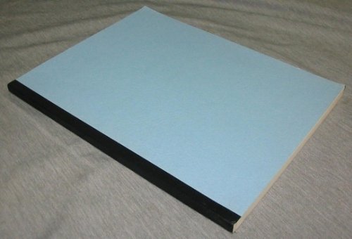 A Few Words about the Obedience to the Mormon Law of Tithing - A Private Notebook