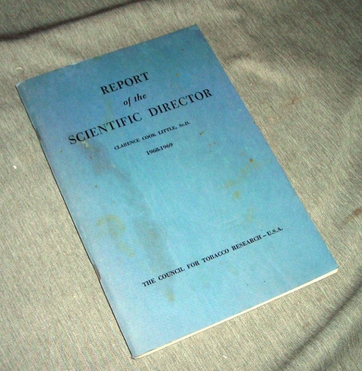 Report of the Scientific Director