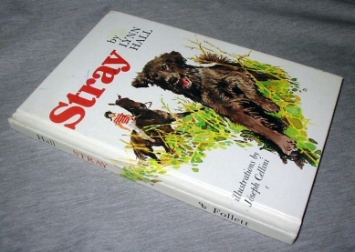 Stray