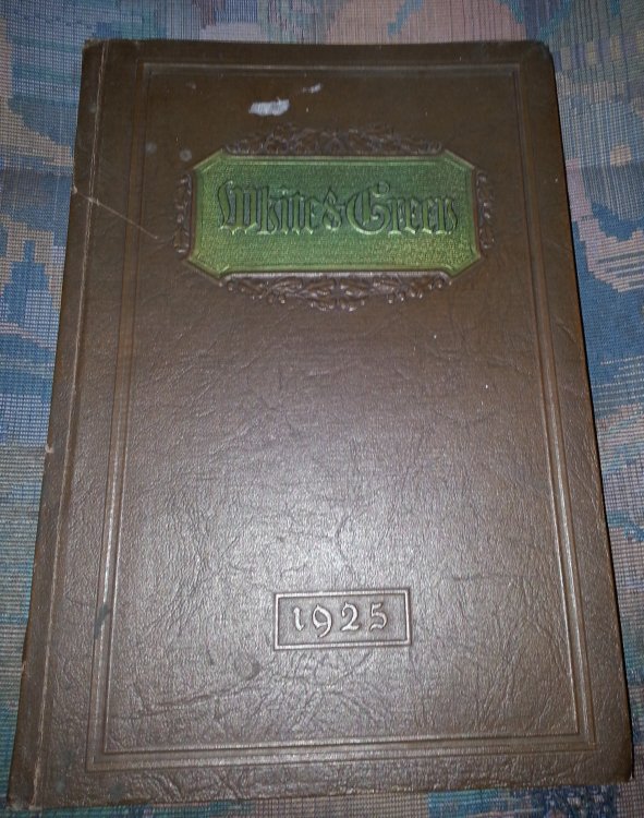 THE White and Green - Provo (Utah) High School Yearbook 1925