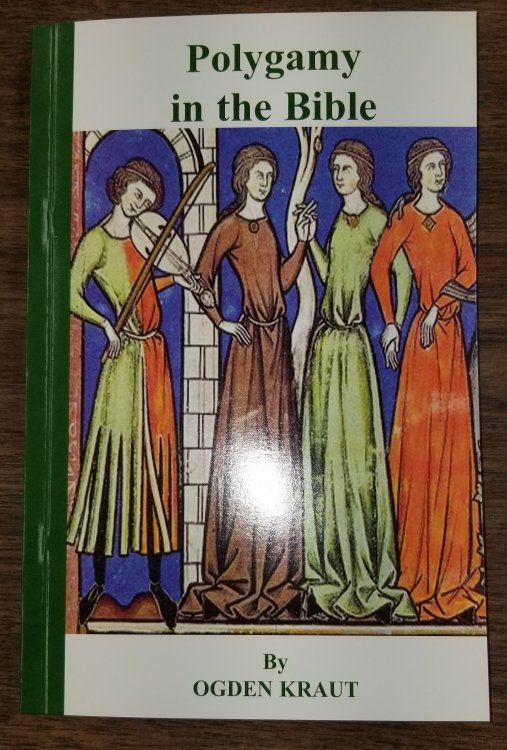 Polygamy in the Bible