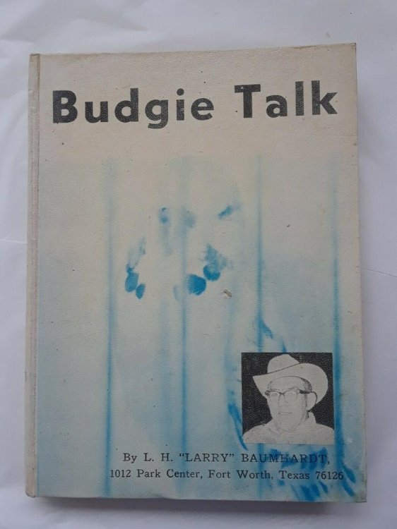 Budgie Talk