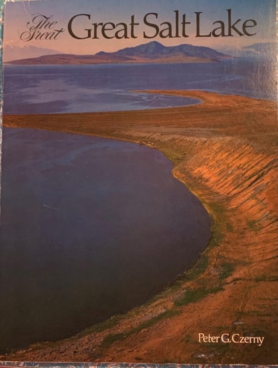 The Great Great Salt Lake