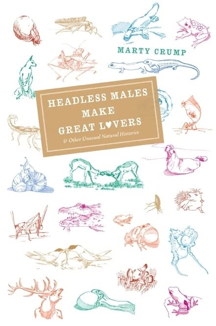 Headless Males Make Great Lovers And Other Unusual Natural Histories