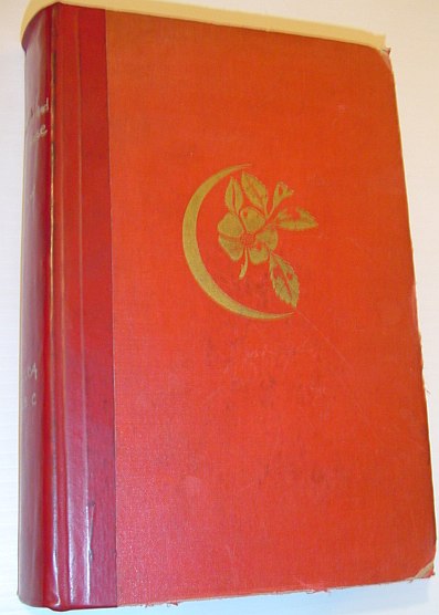 The Crescent and the Rose: Islam and England During the Renaissance