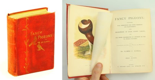 Fancy Pigeons - Containing Full Directions For Their Breeding and Management, With Descriptions of Every Known Variety, And All Other Information Of Interest Or Use To Pigeon Fanciers