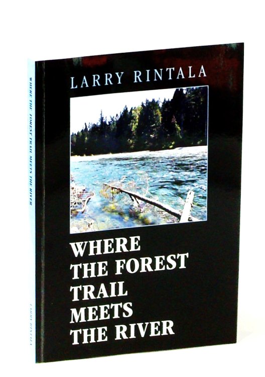 Where the Forest Trail Meets the River