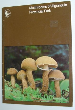 Image for Mushrooms of Algonquin Provincial Park Mushrooms of Algonquin Provincial Park