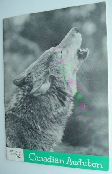 Canadian Audubon - November/December 1961
