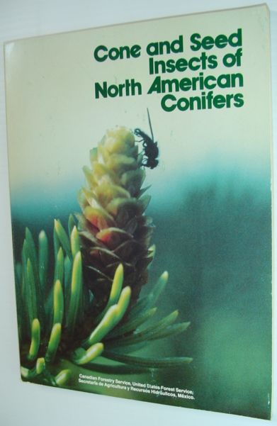Image for Cone and Seed Insects of North American Conifers Cone and Seed Insects of North American Conifers