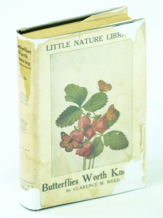 Butterflies Worth Knowing - Little Nature Library